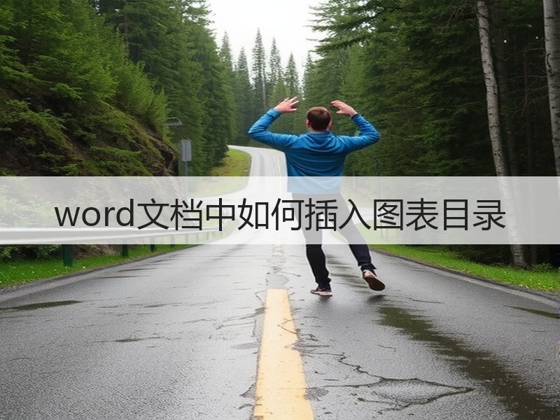 word文档中如何插入图表目录
