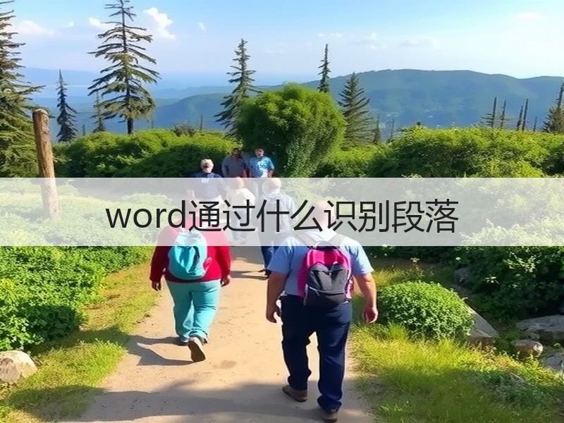 word通过什么识别段落