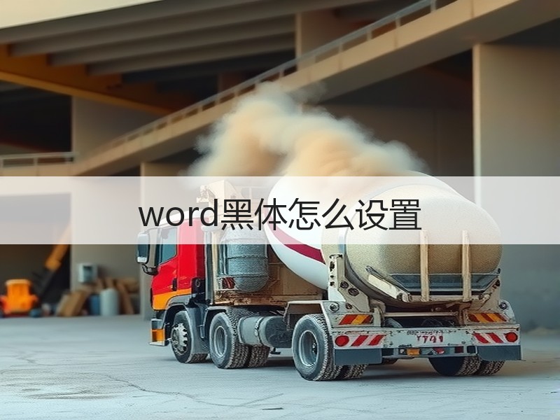 word黑体怎么设置