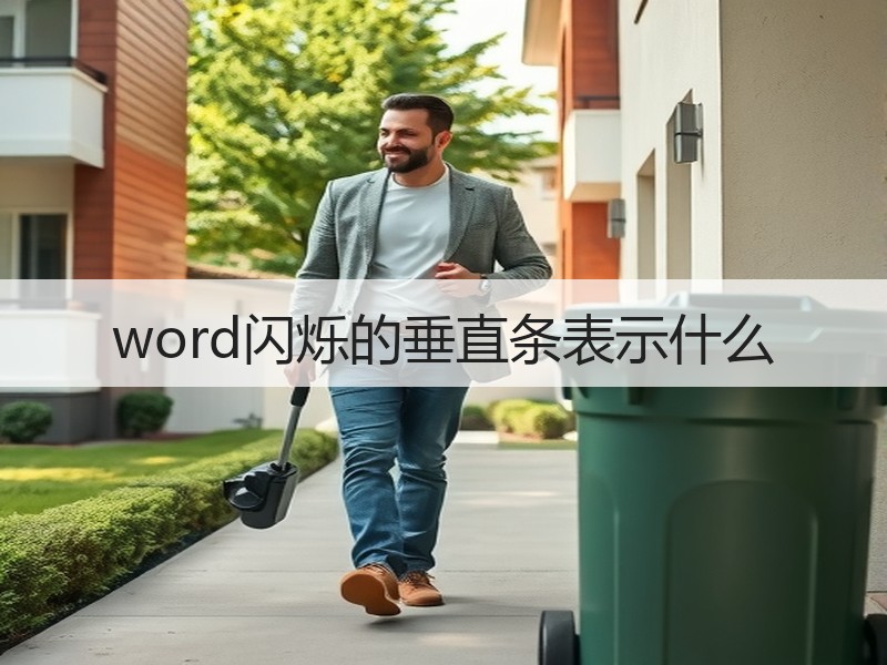 word闪烁的垂直条表示什么