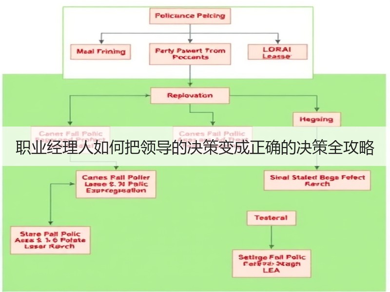 职业经理人如何把领导的决策变成正确的决策