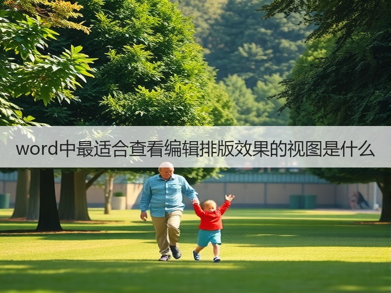 word中最适合查看编辑排版效果的视图是