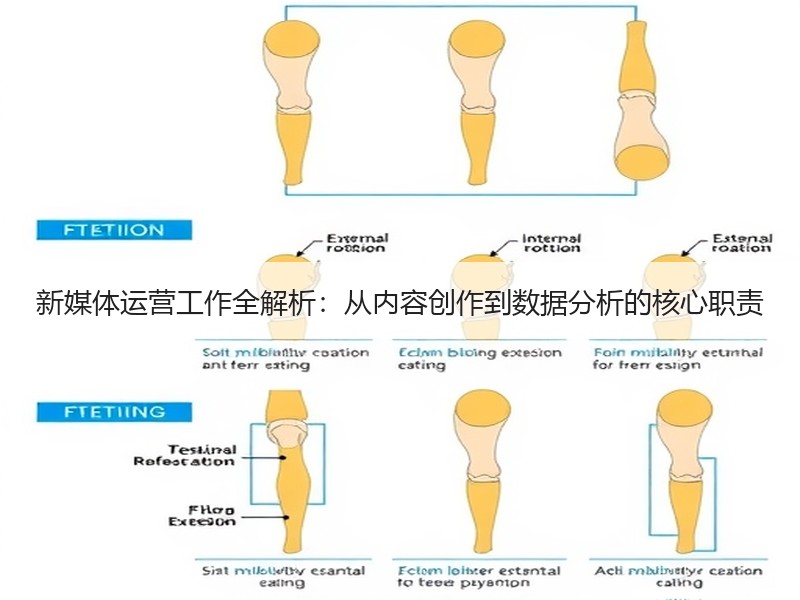 新媒体运营工作全解析：从内容创作到数据分
