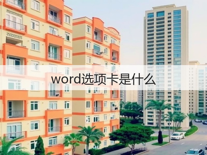 word选项卡是什么