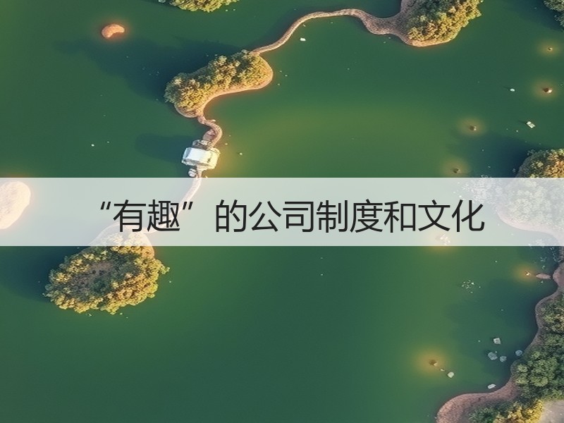 “有趣”的公司制度和文化