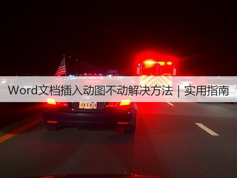 Word文档插入动图不动解决方法｜实用指