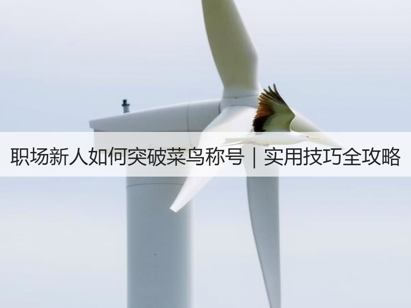 职场新人如何突破菜鸟称号｜实用技巧全攻略