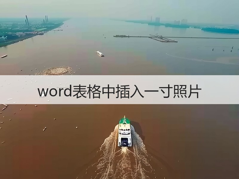 word表格中插入一寸照片