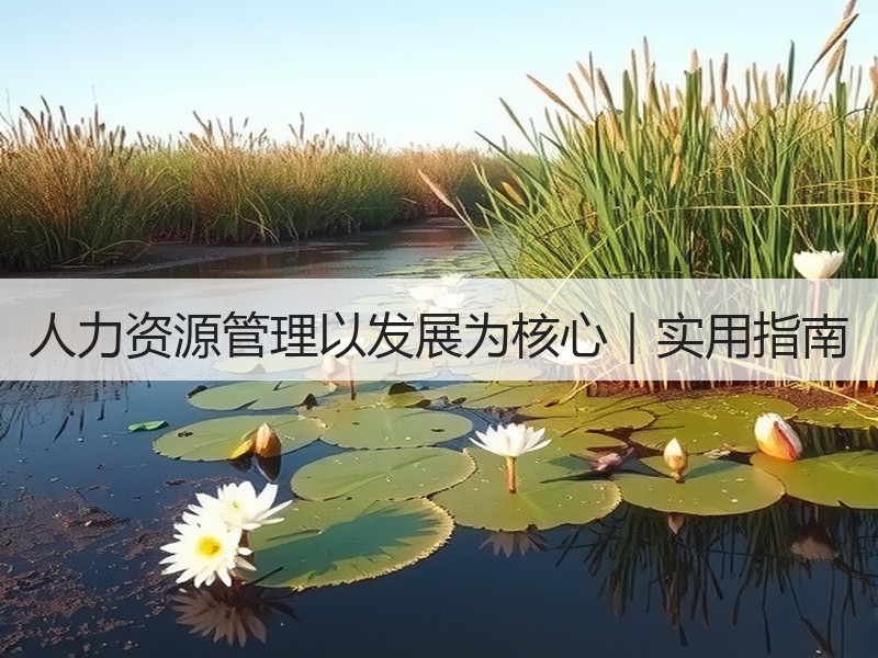 人力资源管理以发展为核心｜实用指南