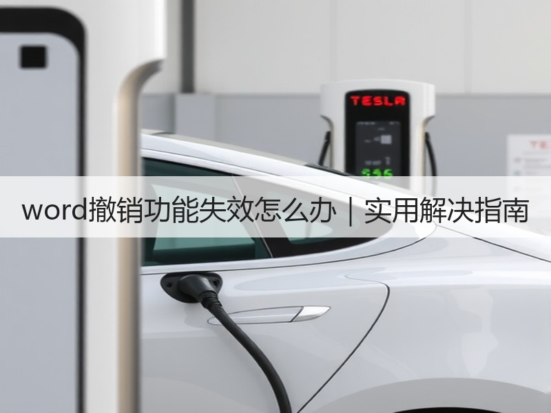 word撤销功能失效怎么办｜实用解决指南