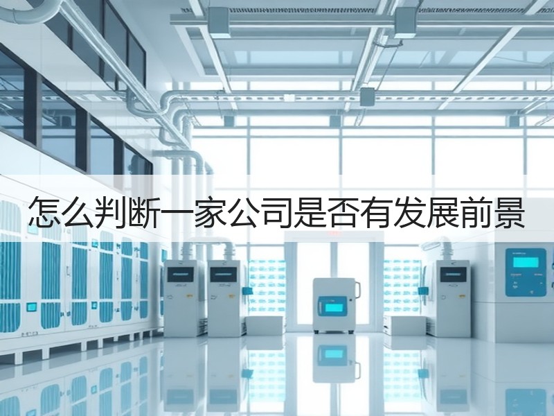 怎么判断一家公司是否有发展前景