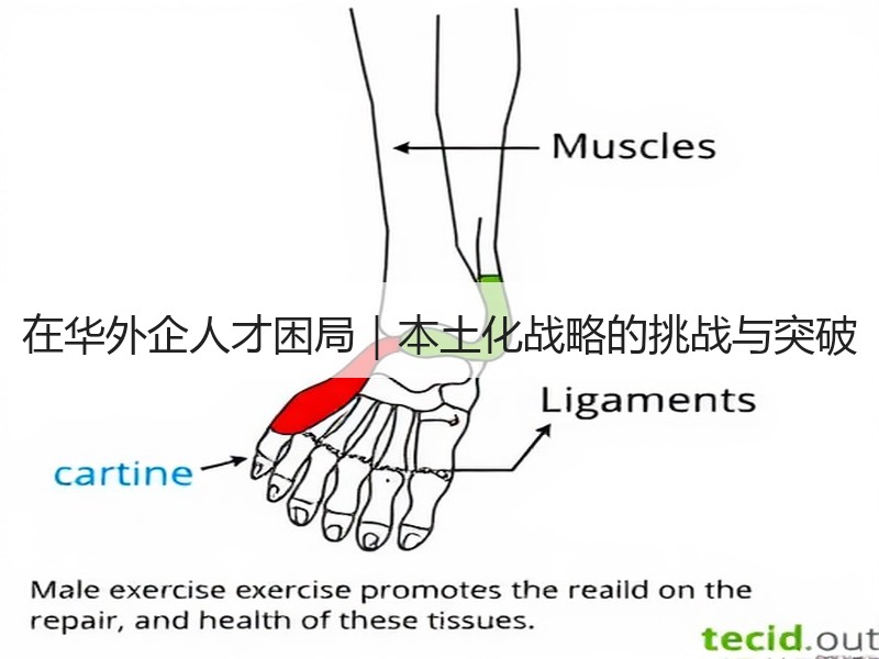 在华外企人才困局｜本土化战略的挑战与突破