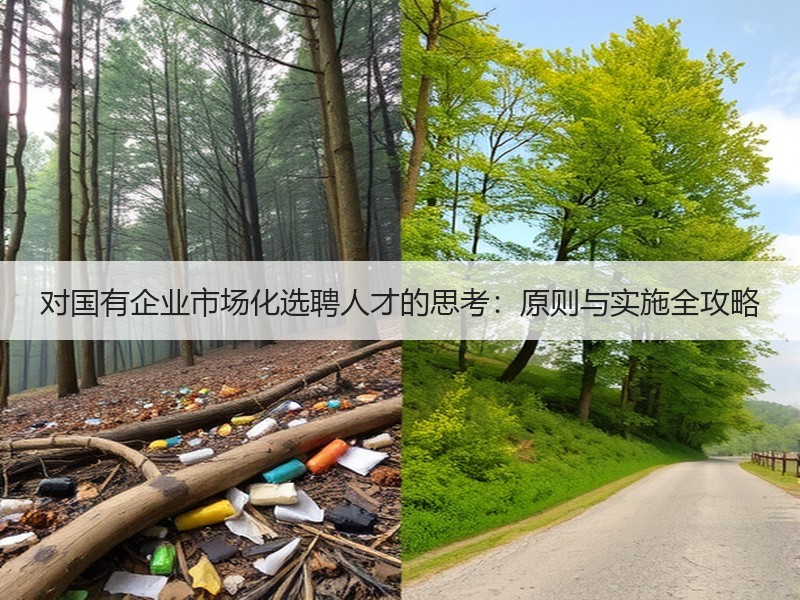 对国有企业市场化选聘人才的思考：原则与实