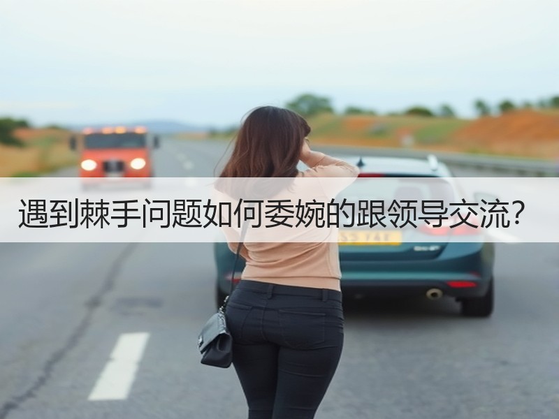 遇到棘手问题如何委婉的跟领导交流？