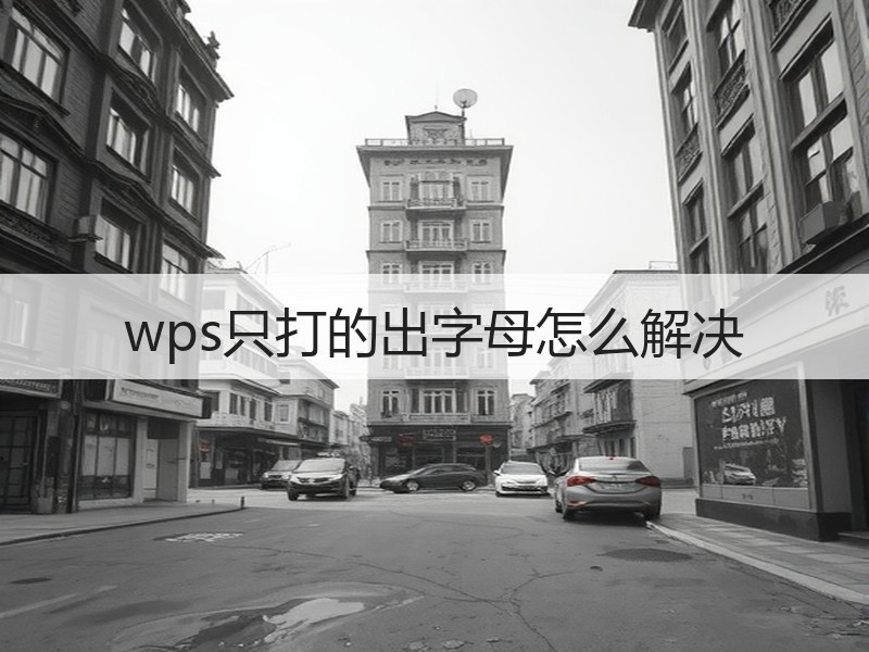 wps只打的出字母怎么解决