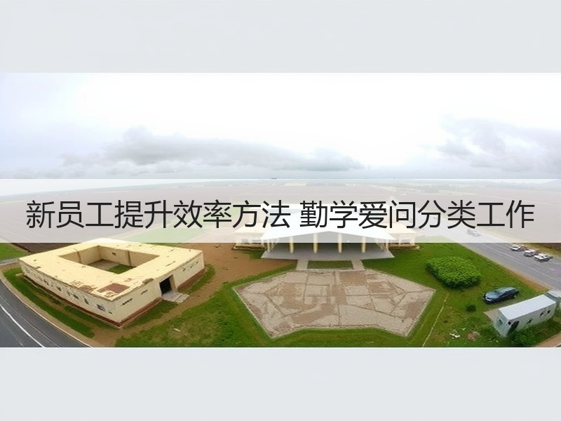 新员工提升效率方法 勤学爱问分类工作
