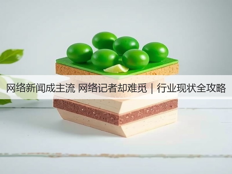 网络新闻成主流 网络记者却难觅｜行业现状