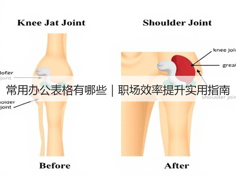 常用办公表格有哪些｜职场效率提升实用指南